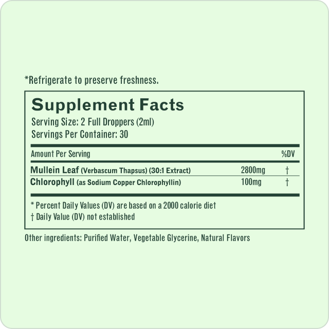 Supplement Facts Panel — Serving Size 2 Full Droppers, Mullein Leaf Extract 2800mg, Chlorophyll 100mg